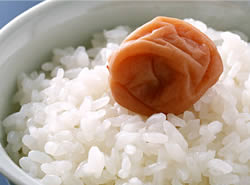 おいしいごはん