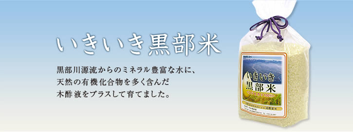 いきいき黒部米　黒部川源流からのミネラル豊富な水に、天然の有機化合物を多く含んだ木酢液をプラスして育てました。