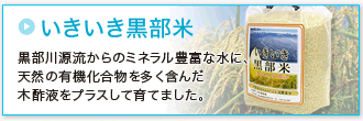 「いきいき黒部米」黒部川源流からのミネラル豊富な水に、
天然の有機化合物を多く含んだ木酢液をプラスして育てました。